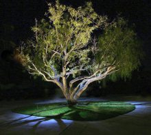 Low Voltage Landscape Lighting Benefits