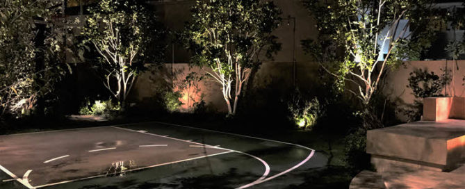 Professional Backyard Lighting Service