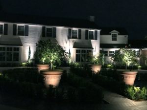 Landscape Lighting