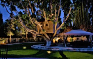 Outdoor Tree Lighting Ideas