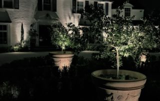 Outdoor Accent Lighting