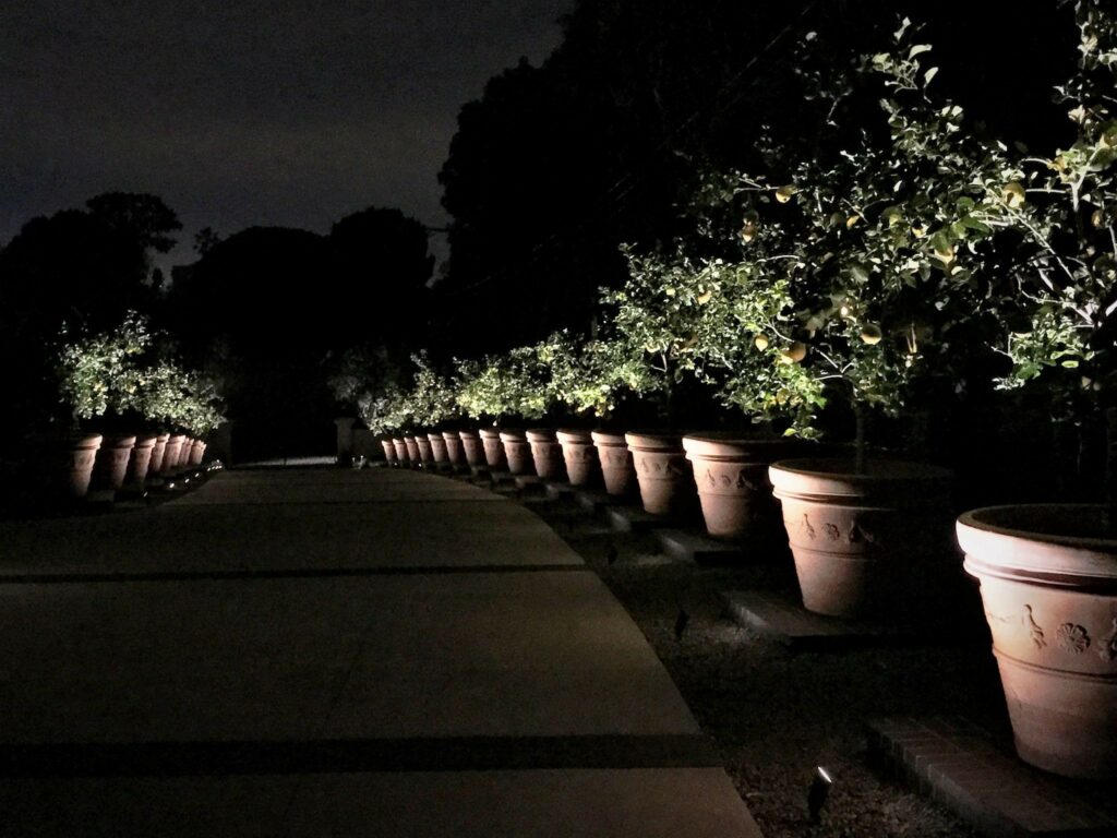 Commercial Landscape Lighting Near Me Irvine CA