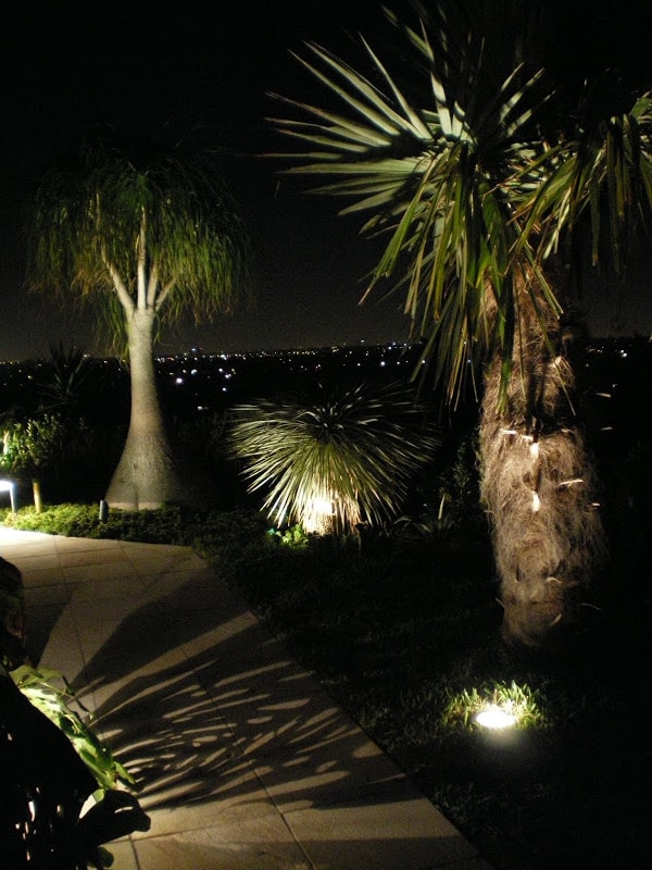 summer pathway